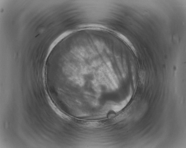 X0000085831482200703301606