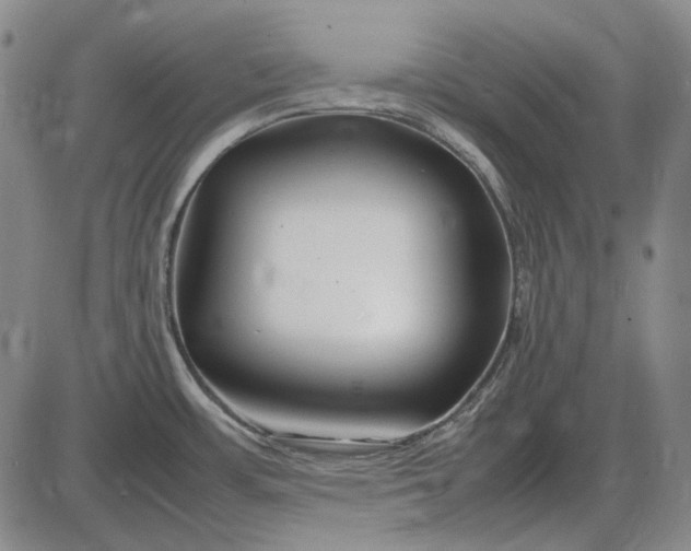 X0000085831483200703301606