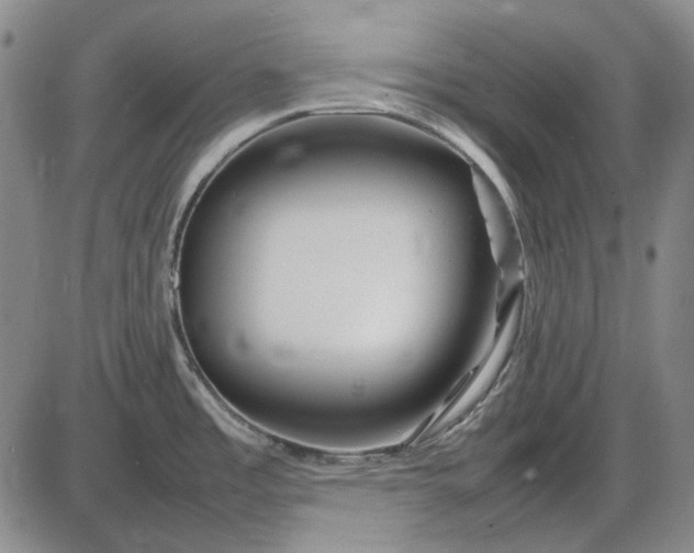 X0000085831485200703301606