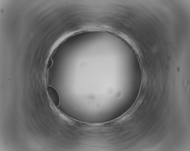 X0000085831486200703301606