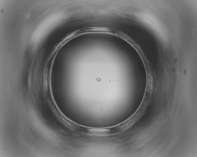 X0000085831487200703301606