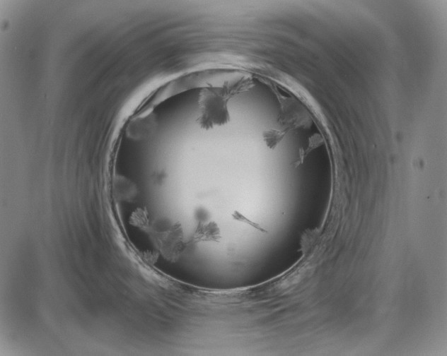 X0000085831488200703301606