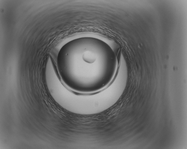 X0000085831489200703301605