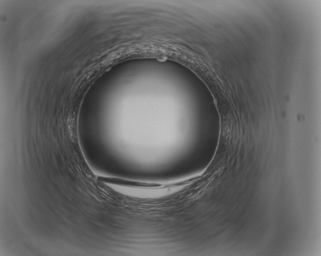 X0000085831490200703301605