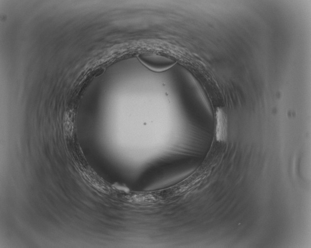 X0000085831491200703301605