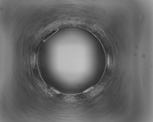 X0000085831492200703301605