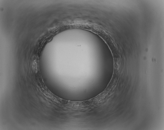 X0000085831493200703301605