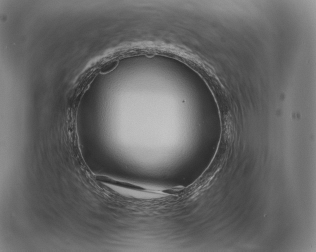 X0000085831494200703301605