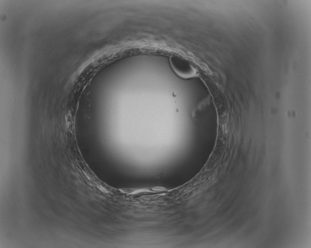 X0000085831495200703301606