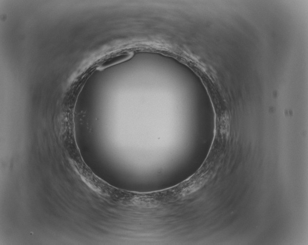 X0000085831496200703301606