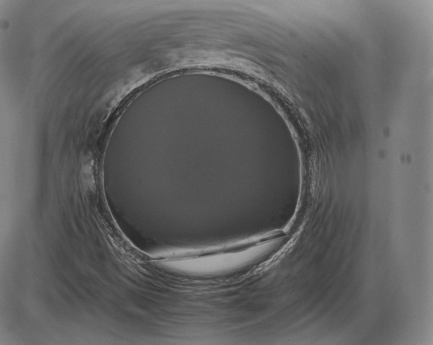 X0000085831497200703301606