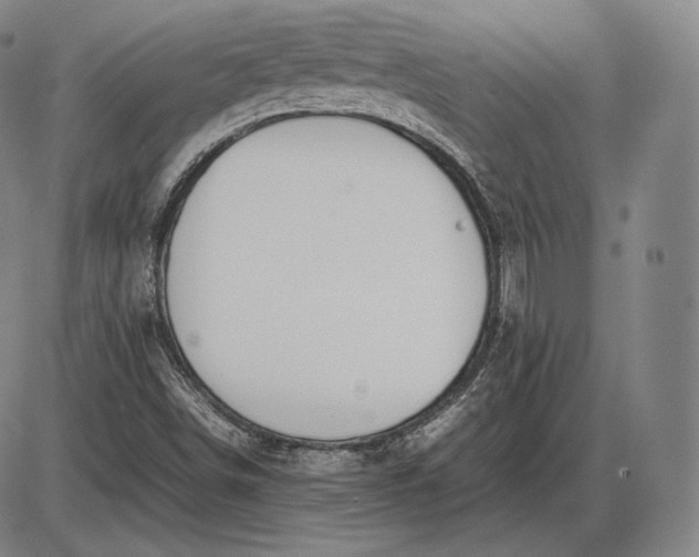 X0000085831498200703301606