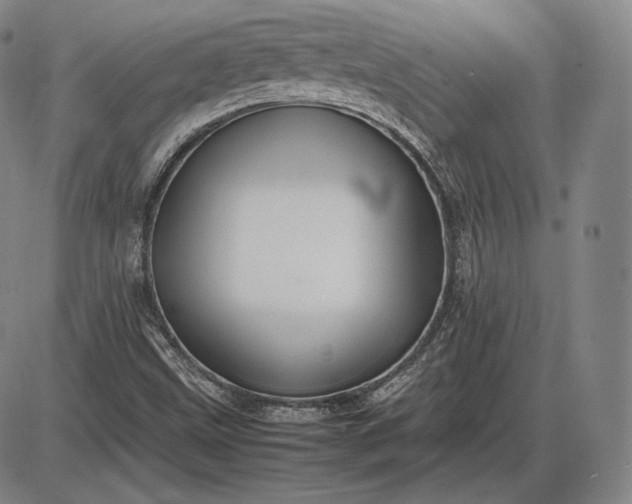 X0000085831499200703301606