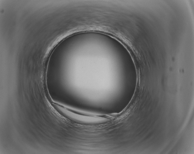 X0000085831500200703301606