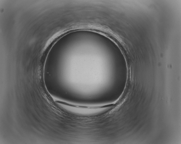 X0000085831501200703301606