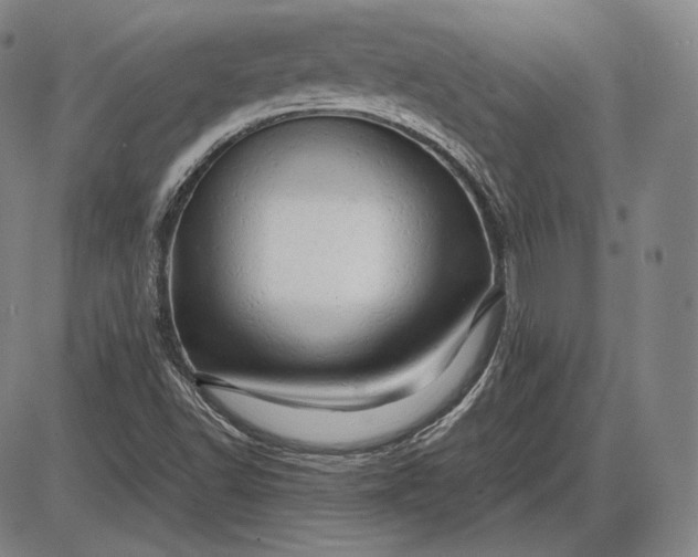 X0000085831502200703301606