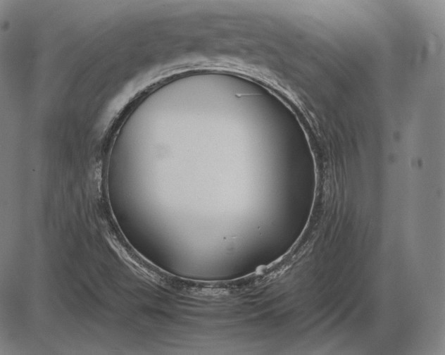 X0000085831503200703301606