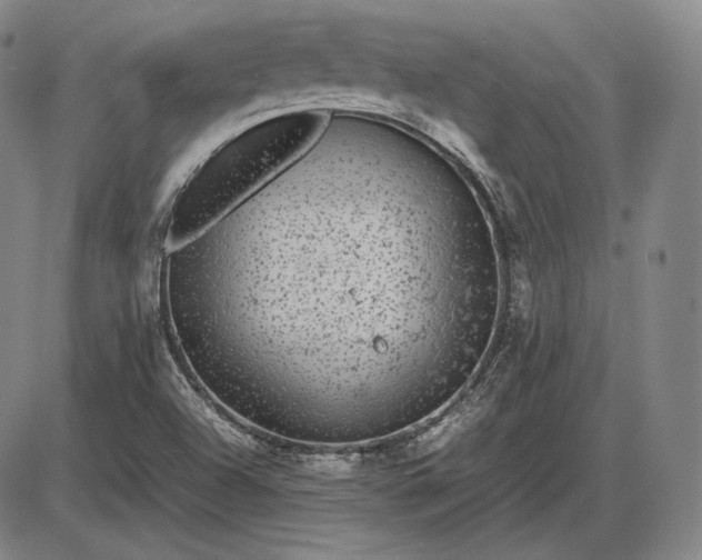 X0000085831504200703301606