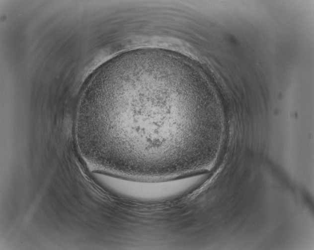 X0000085831505200703301606