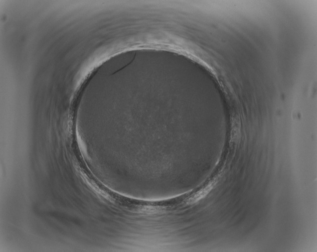 X0000085831506200703301606