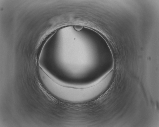 X0000085831507200703301606