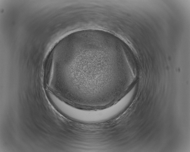 X0000085831508200703301606