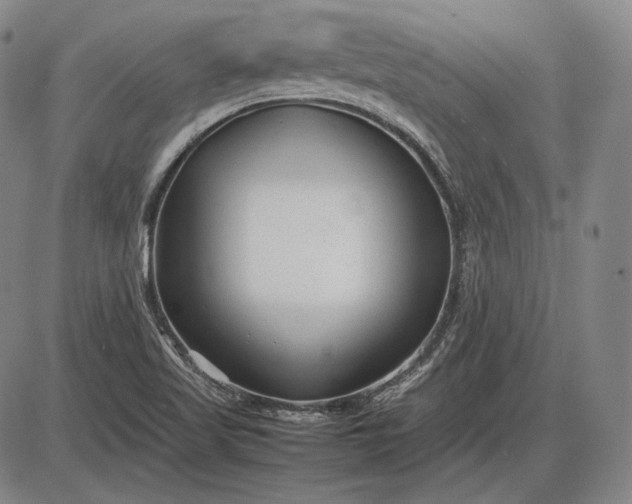 X0000085831509200703301606