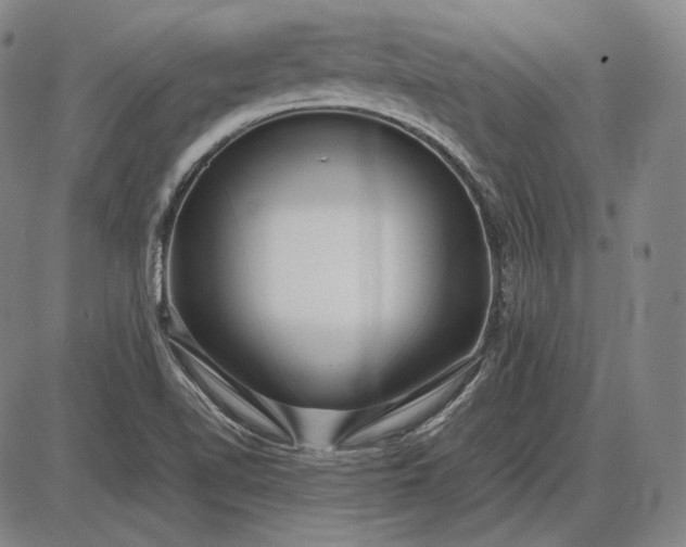 X0000085831510200703301606