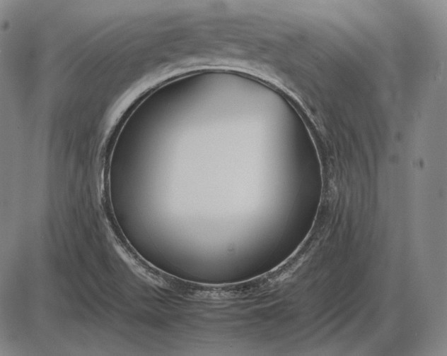 X0000085831511200703301606