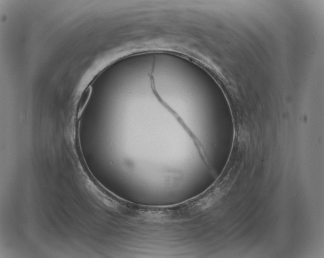 X0000085831512200703301606