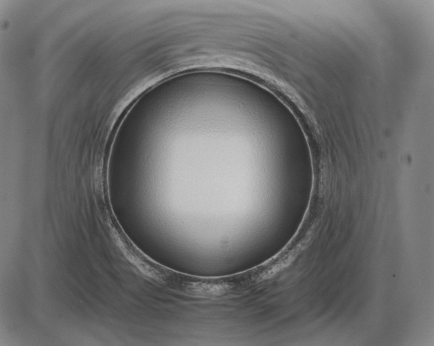 X0000085831513200703301606