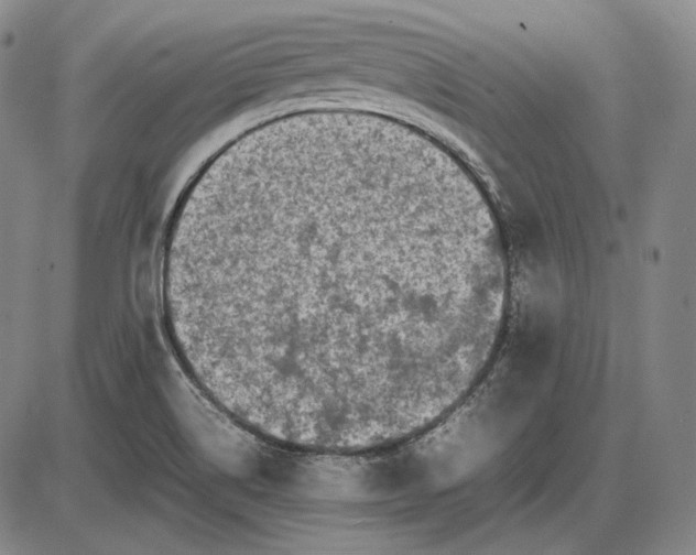 X0000085831514200703301606