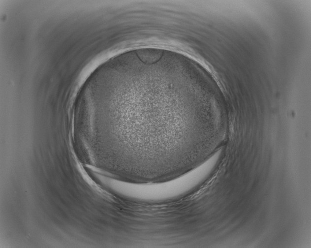 X0000085831515200703301606