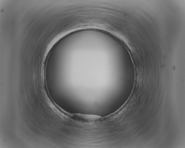 X0000085831516200703301606