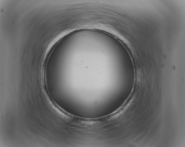 X0000085831517200703301606