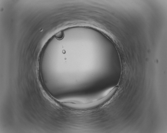 X0000085831518200703301606