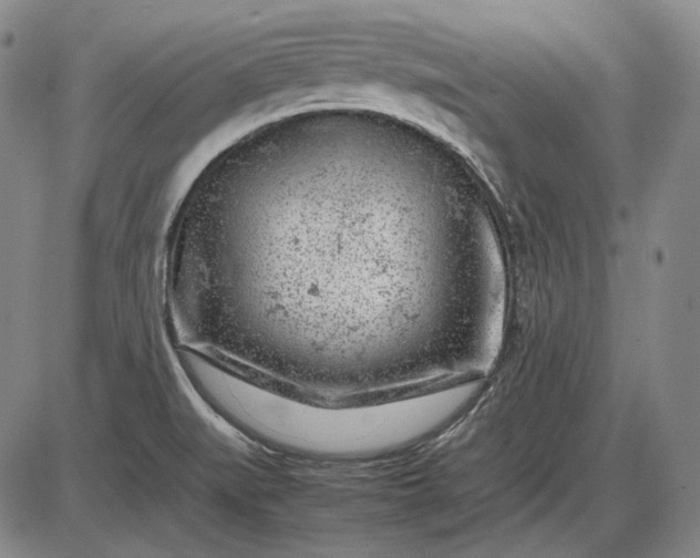 X0000085831519200703301606