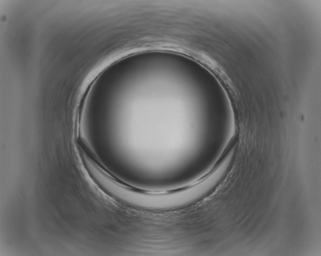 X0000085831520200703301606