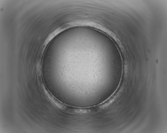 X0000085831521200703301606