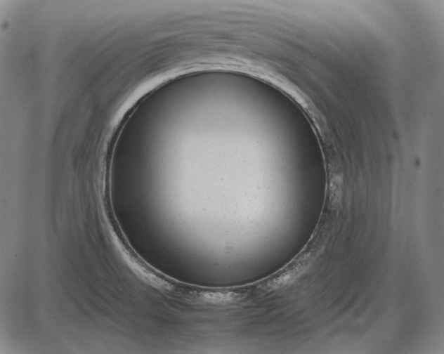 X0000085831523200703301606