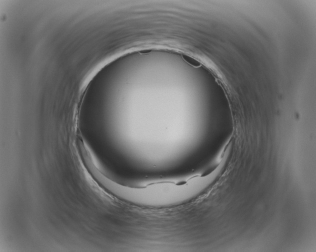 X0000085831524200703301606