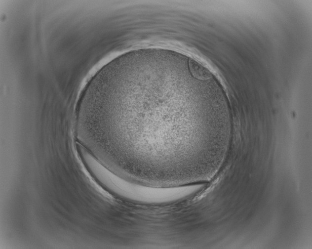 X0000085831525200703301606