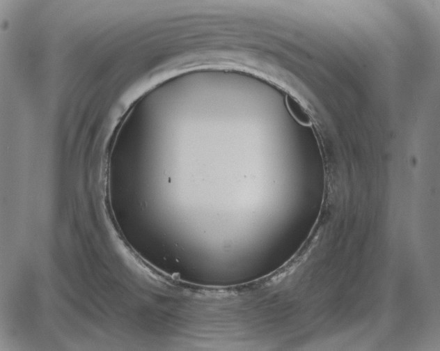 X0000085831526200703301606