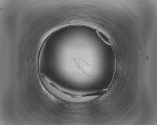 X0000085831527200703301606