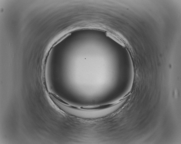 X0000085831528200703301606