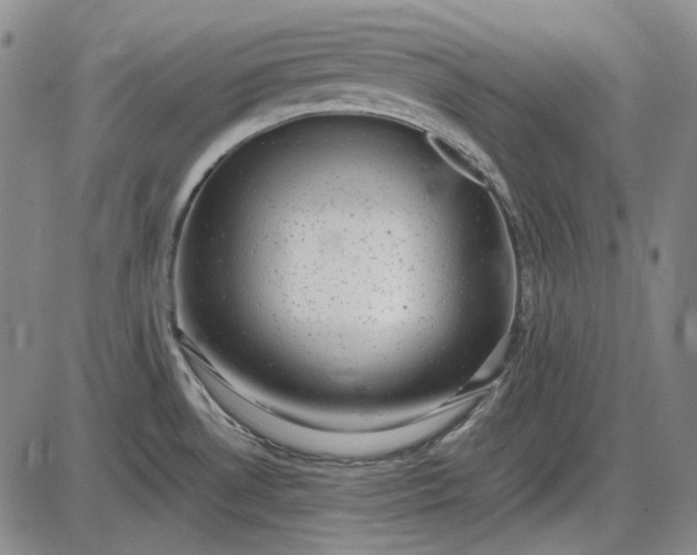 X0000085831530200703301606