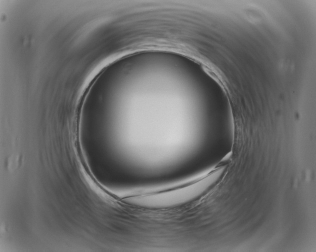 X0000085831531200703301606