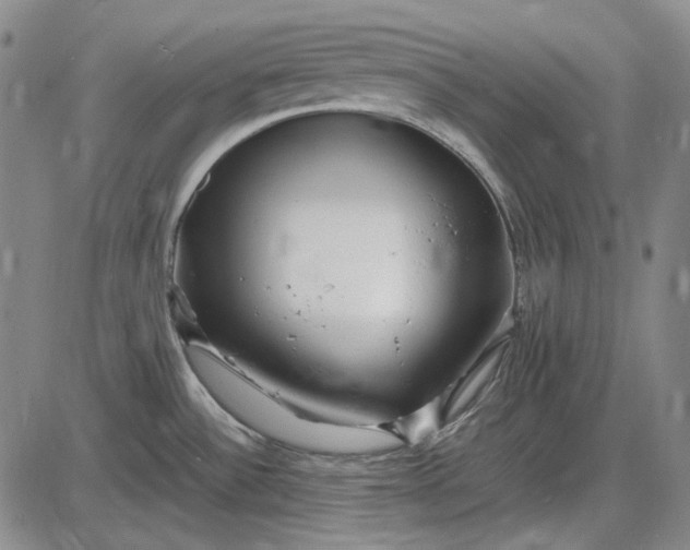 X0000085831532200703301606