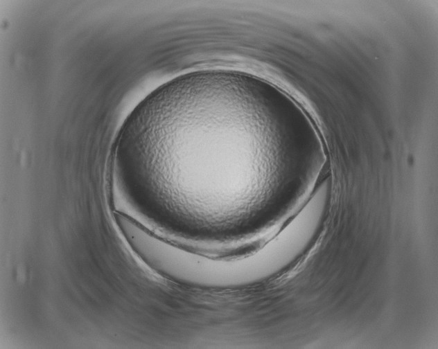 X0000085831533200703301606