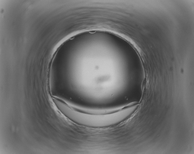 X0000085831534200703301606